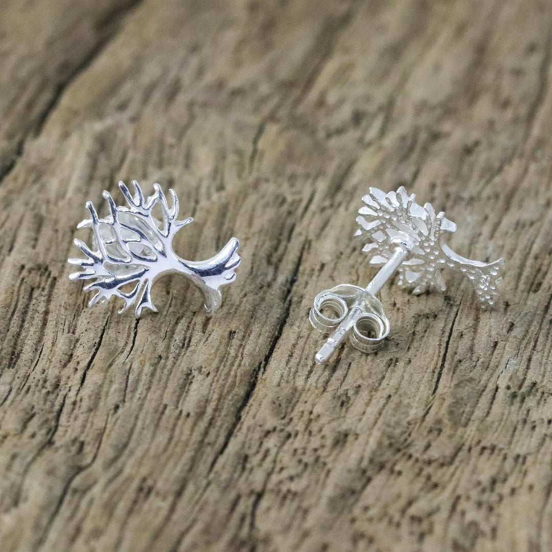 Sterling Silver Tree-Shaped Stud Earrings from Thailand - Branches Above