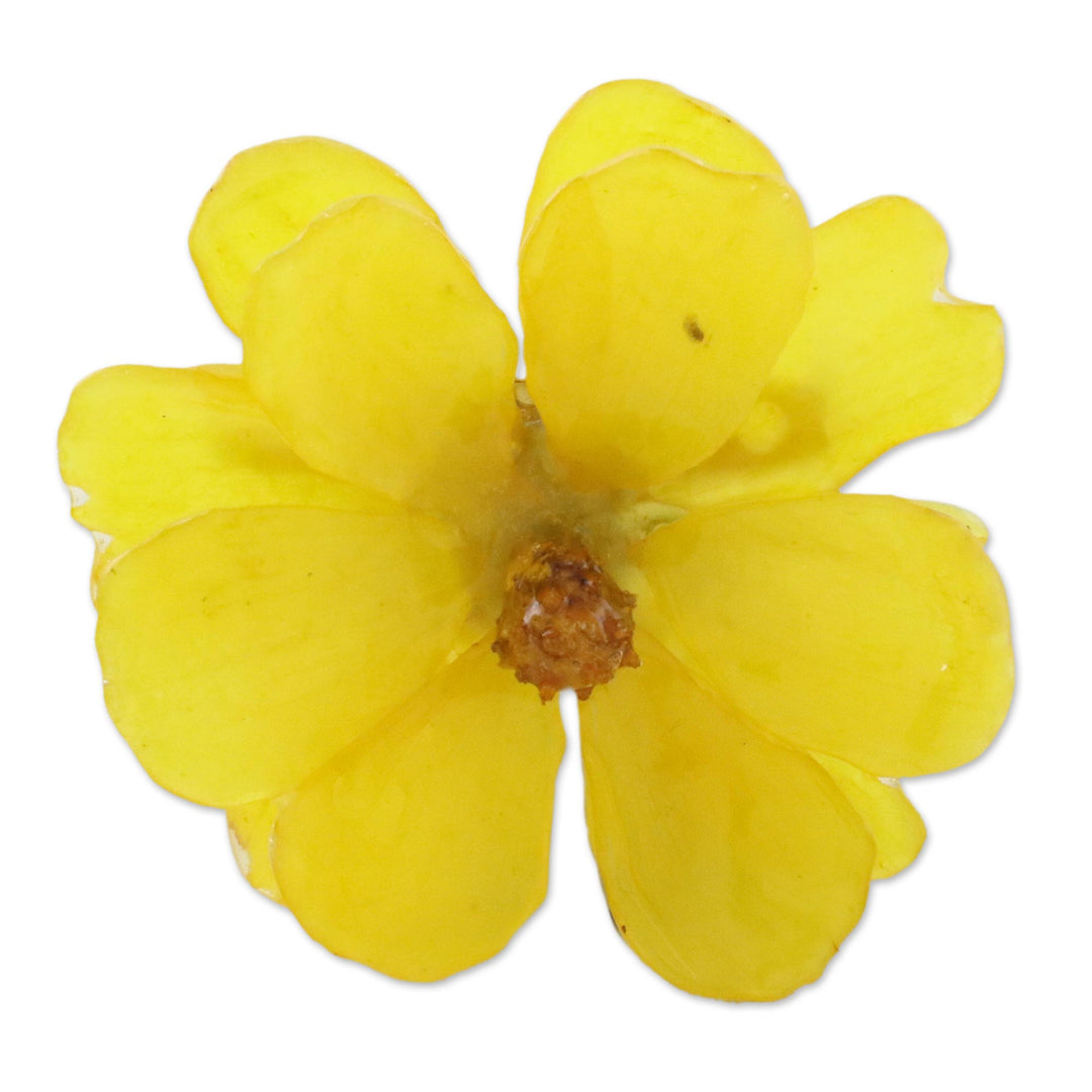 Natural Cosmos Flower Brooch in Goldenrod from Thailand - Blooming Cosmos in Goldenrod