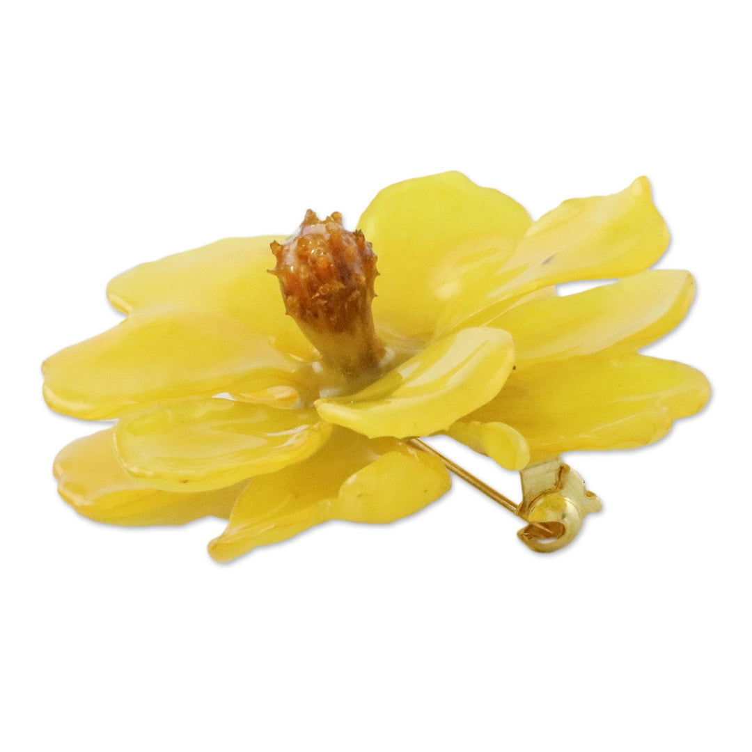 Natural Cosmos Flower Brooch in Goldenrod from Thailand - Blooming Cosmos in Goldenrod