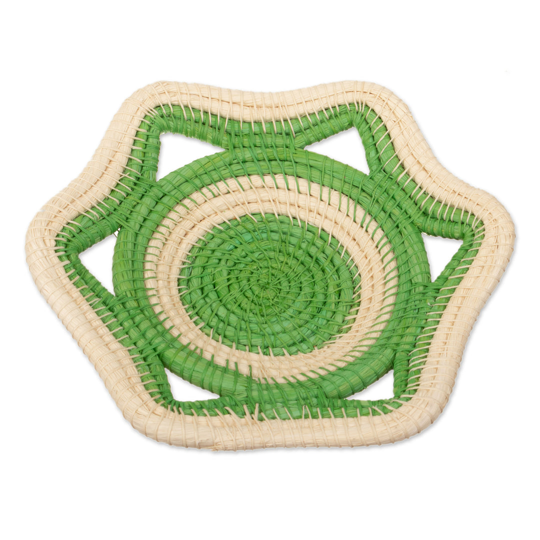 Natural Fiber Decorative Basket in Green and Beige from Peru - Verdant Iquitos