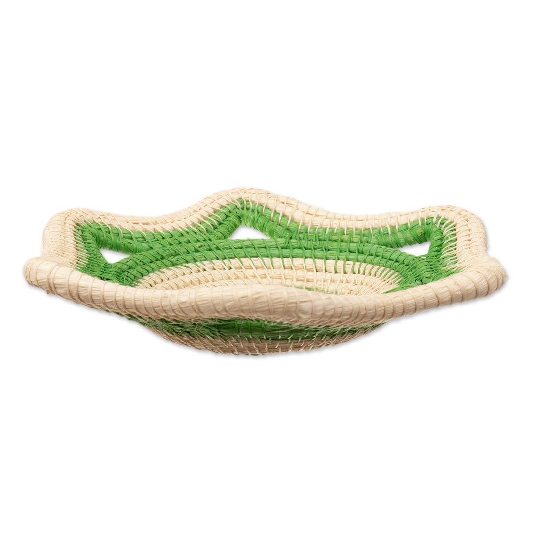 Natural Fiber Decorative Basket in Green and Beige from Peru - Verdant Iquitos