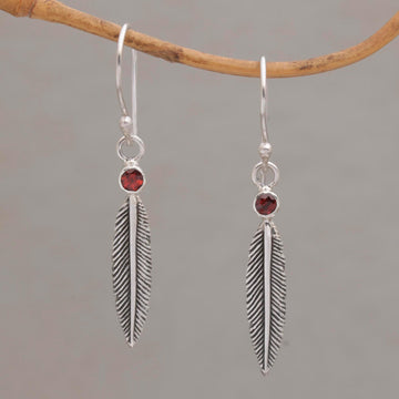 Phoenix Feathers