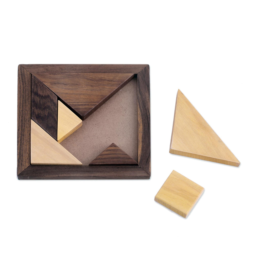 Handcrafted Geometric Wood Puzzle from India - Geometric Muse