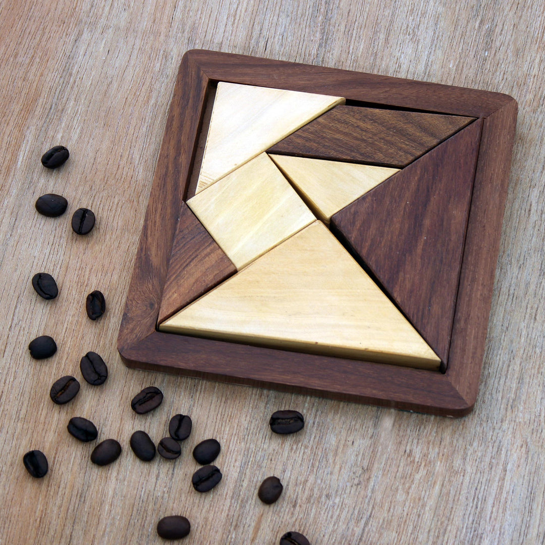 Handcrafted Geometric Wood Puzzle from India - Geometric Muse