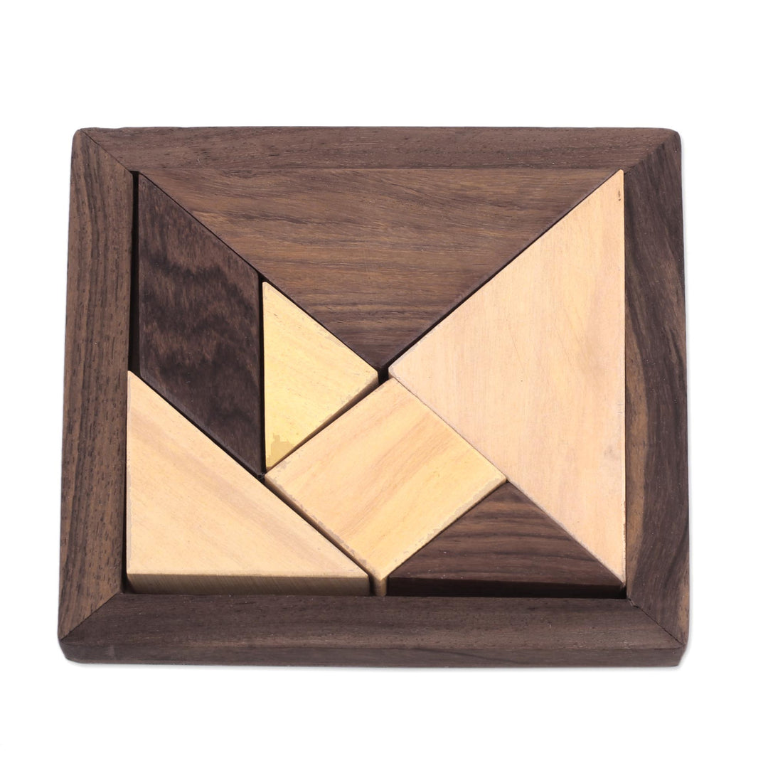 Handcrafted Geometric Wood Puzzle from India - Geometric Muse