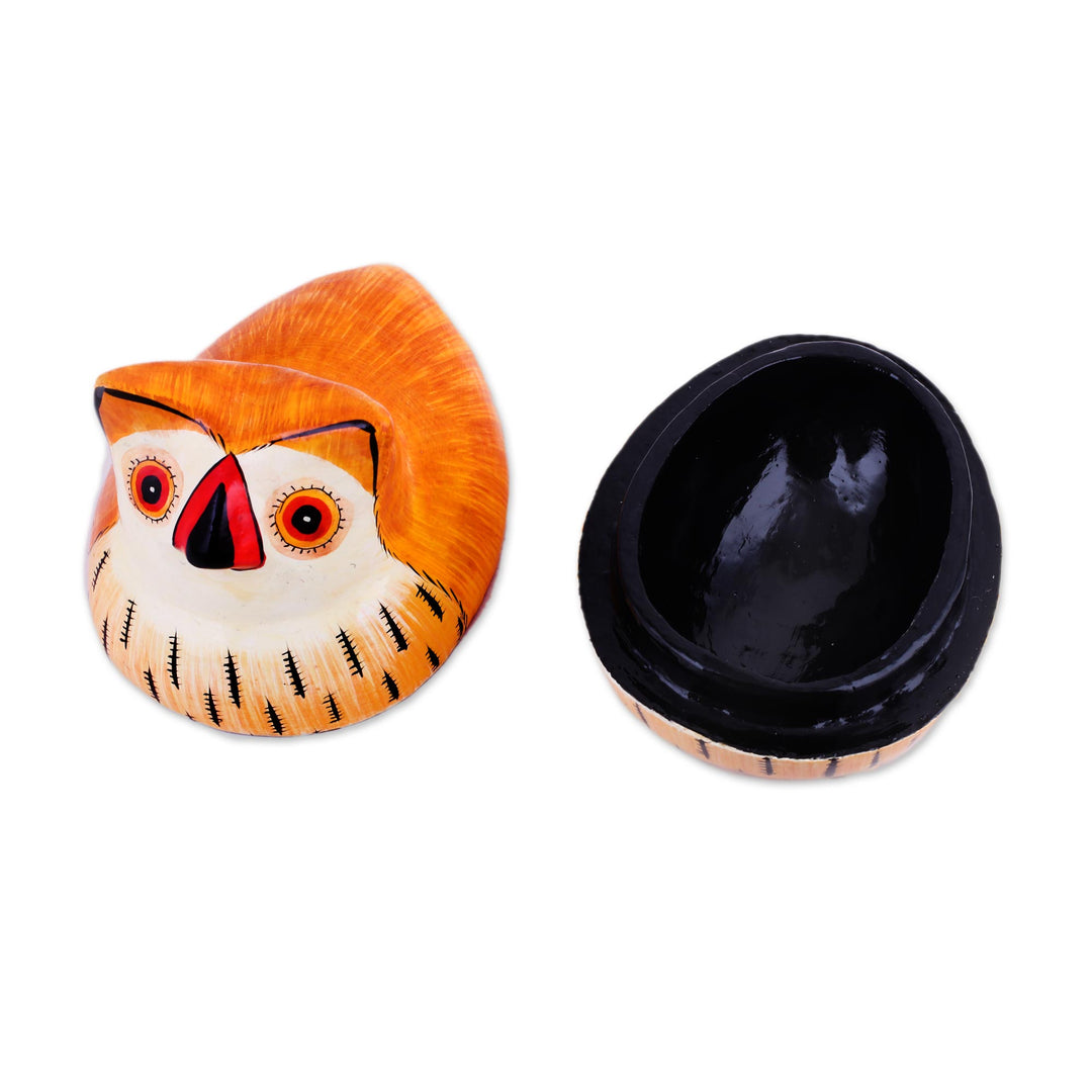 Hand-Painted Papier Mache Owl Decorative Box from India - Owl Master