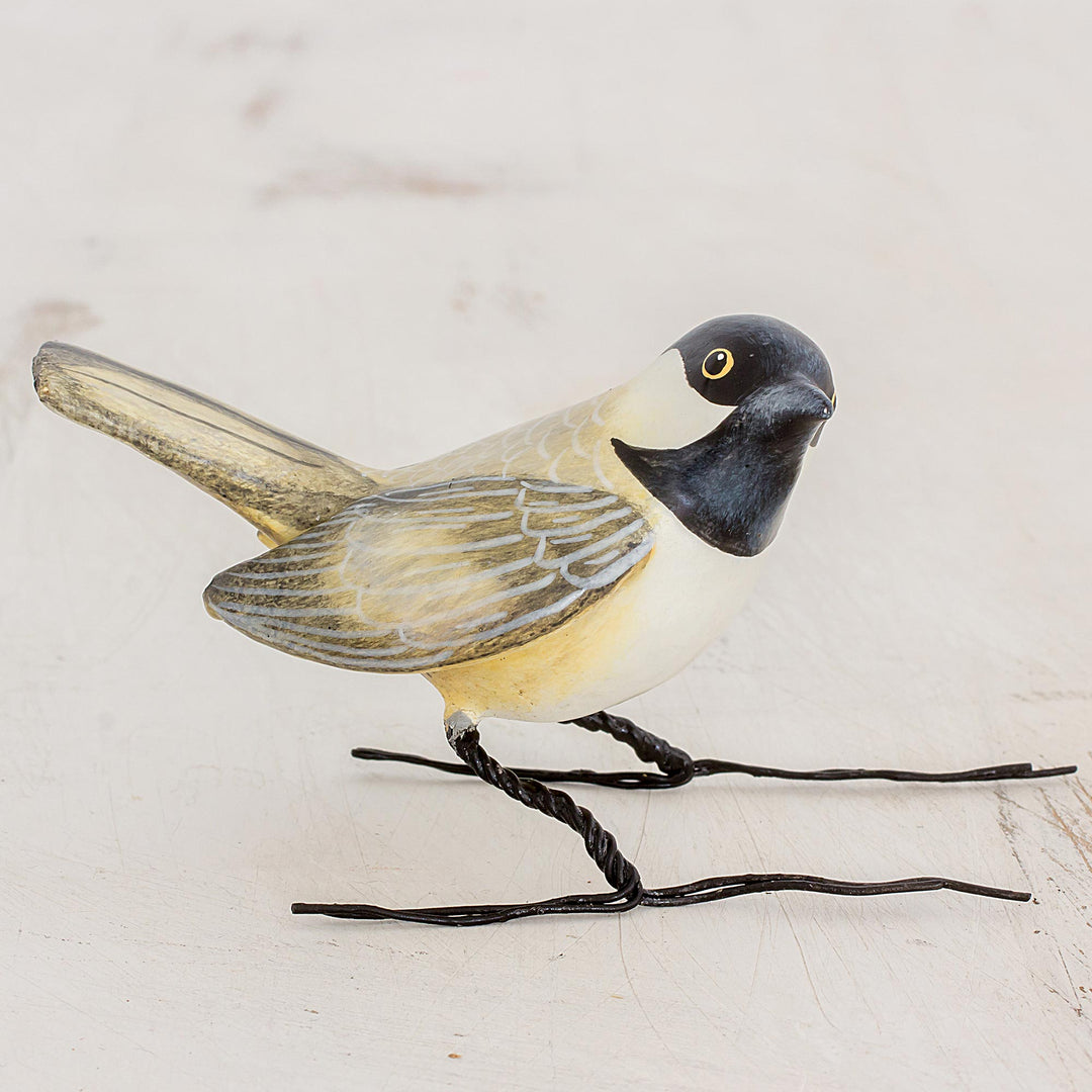 Chickadee