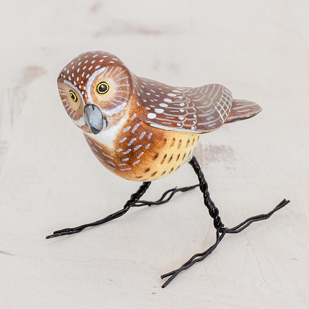 Burrowing Owl