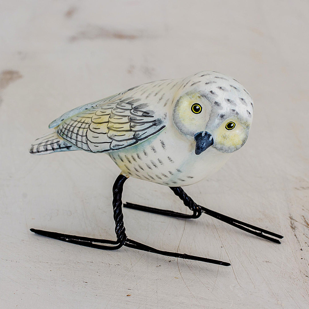 Snowy Owl