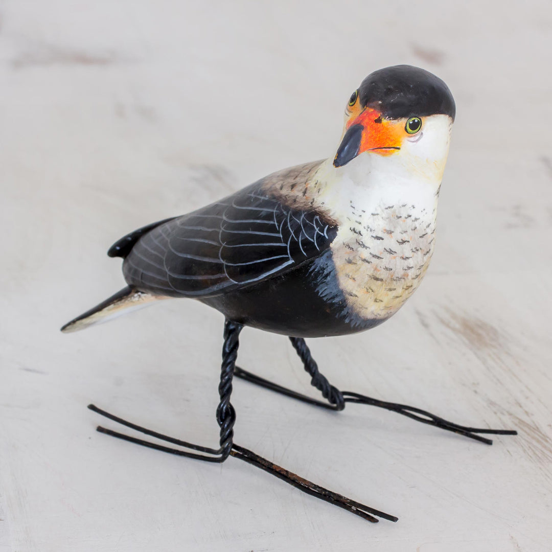 Crested Caracara
