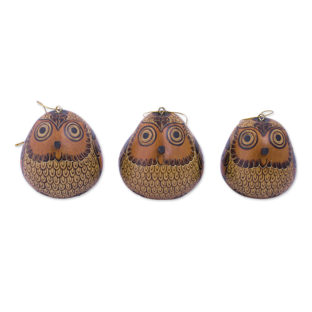Dried Mate Gourd Hanging Owl Ornaments from Peru (set of 3) - Sweet Guardians