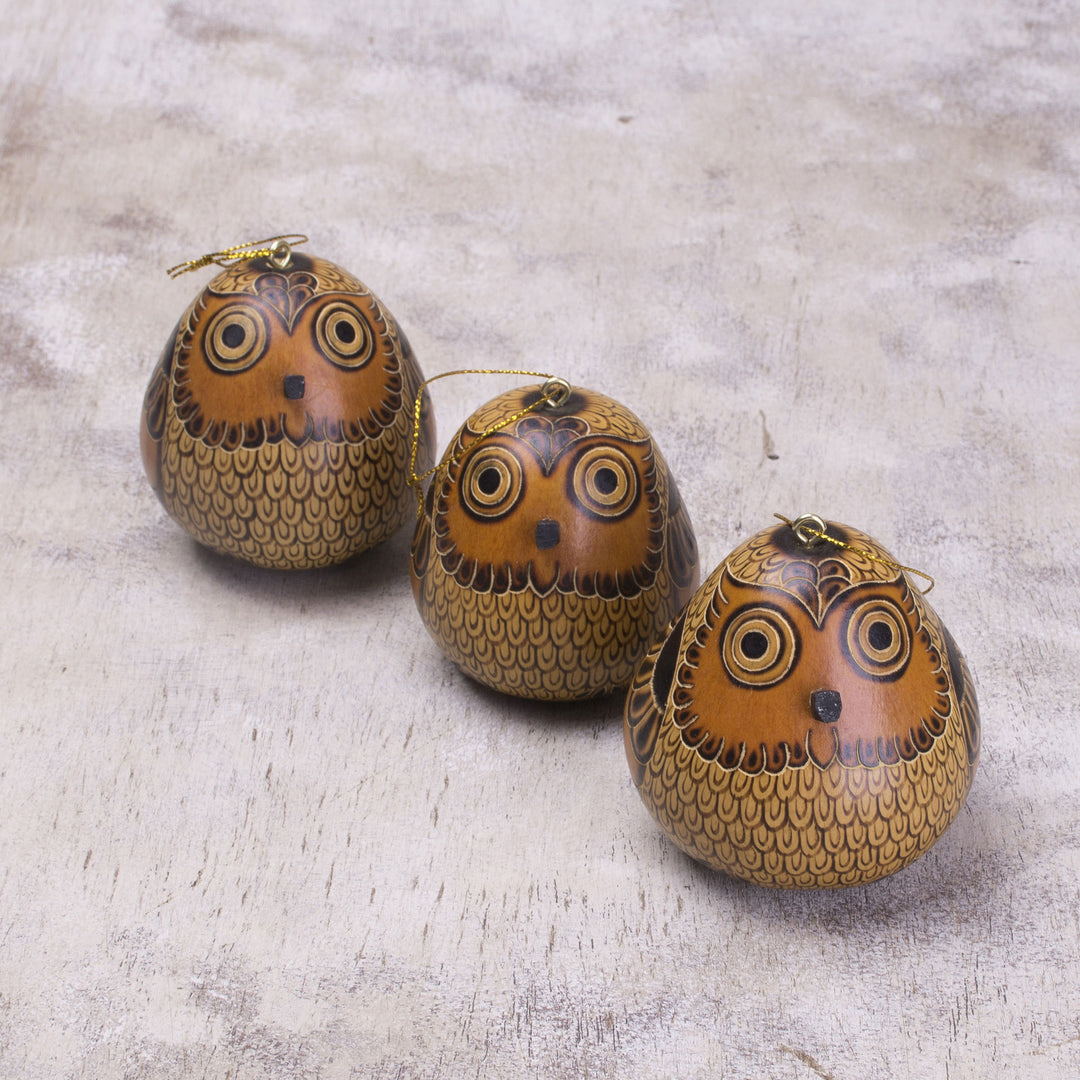 Dried Mate Gourd Hanging Owl Ornaments from Peru (set of 3) - Sweet Guardians