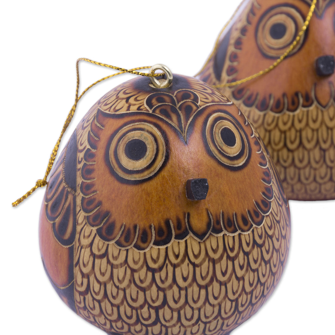 Dried Mate Gourd Hanging Owl Ornaments from Peru (set of 3) - Sweet Guardians