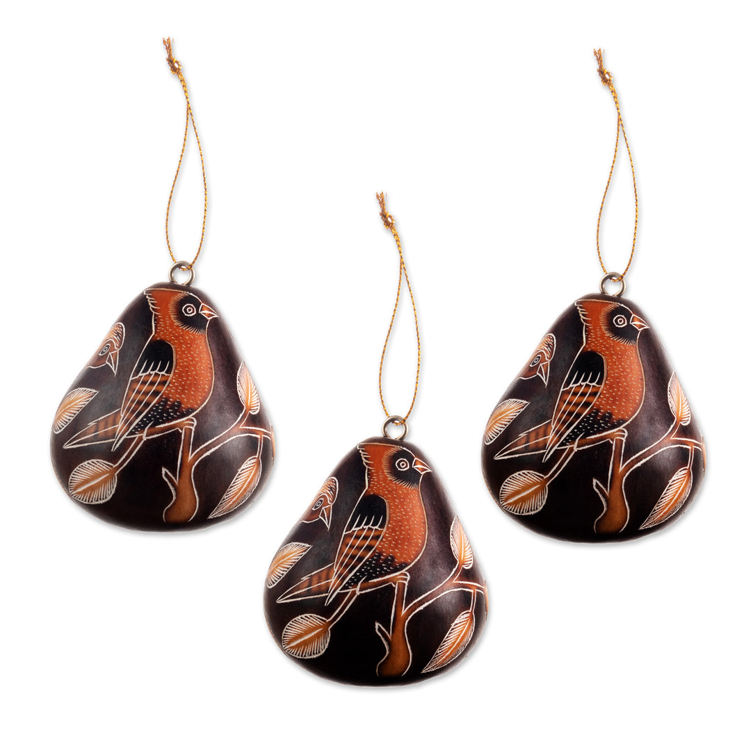 Peruvian Handmade Dried Mate Gourd Bird Ornaments (set of 3) - Sun Birds