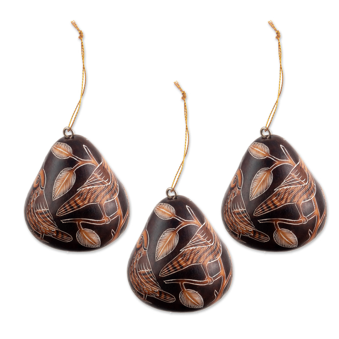 Peruvian Handmade Dried Mate Gourd Bird Ornaments (set of 3) - Sun Birds