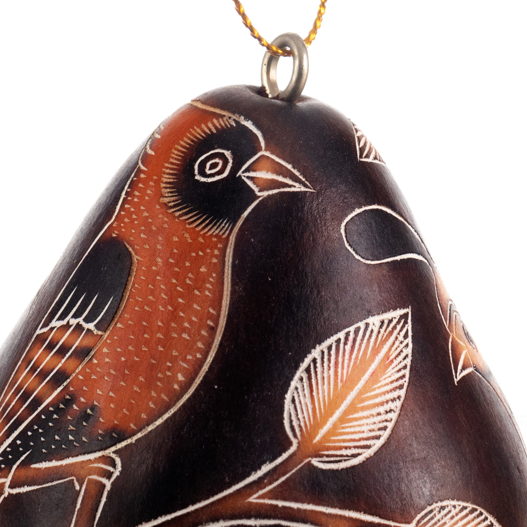 Peruvian Handmade Dried Mate Gourd Bird Ornaments (set of 3) - Sun Birds