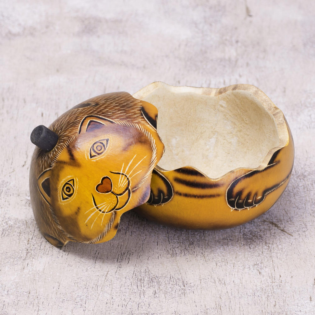 Andean Artisan Crafted Dried Mate Gourd Cat Box - Andean Feline