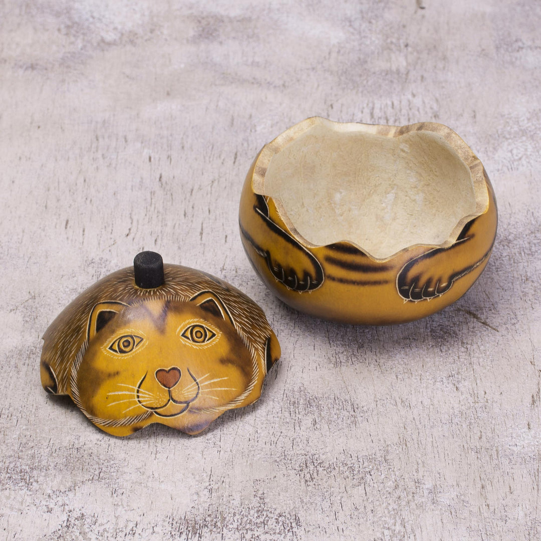 Andean Artisan Crafted Dried Mate Gourd Cat Box - Andean Feline