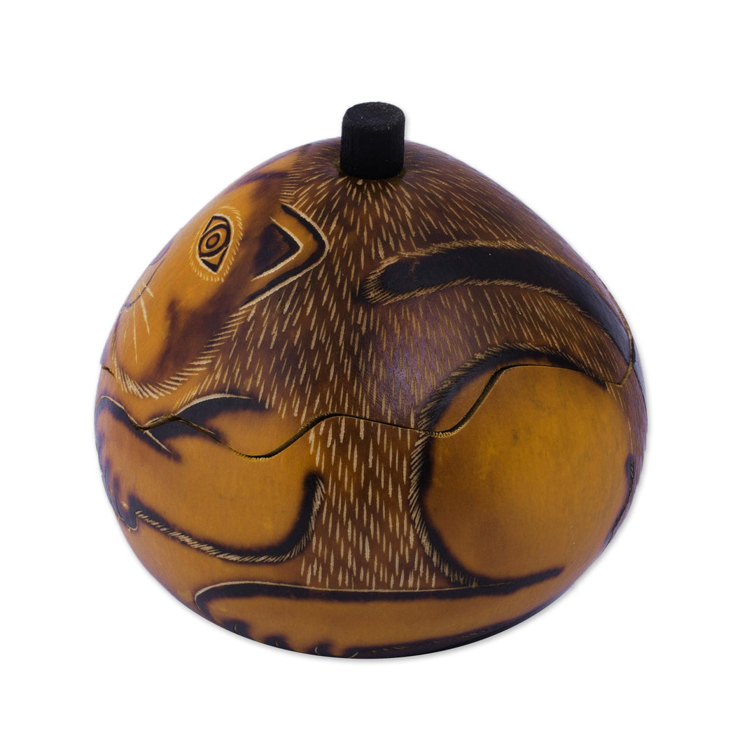 Andean Artisan Crafted Dried Mate Gourd Cat Box - Andean Feline