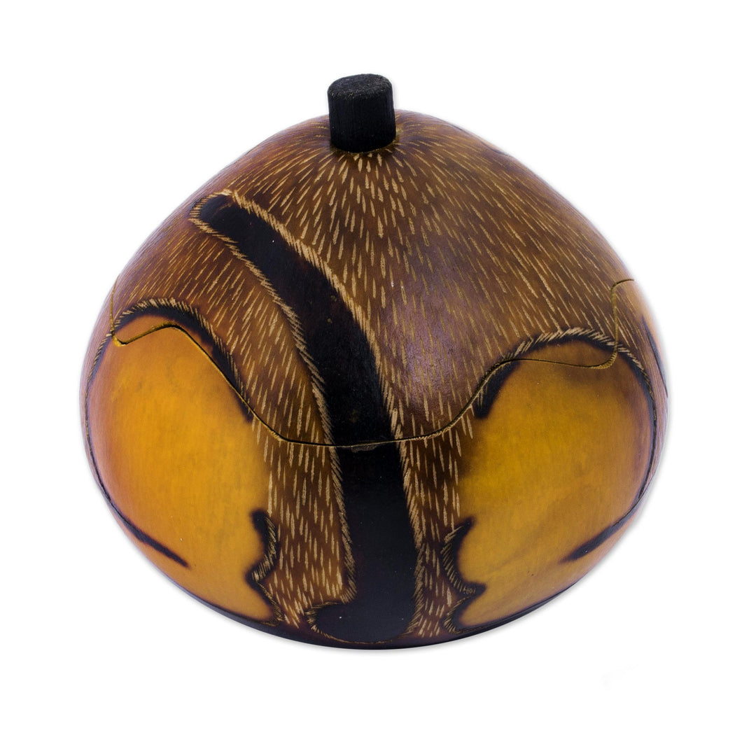 Andean Artisan Crafted Dried Mate Gourd Cat Box - Andean Feline