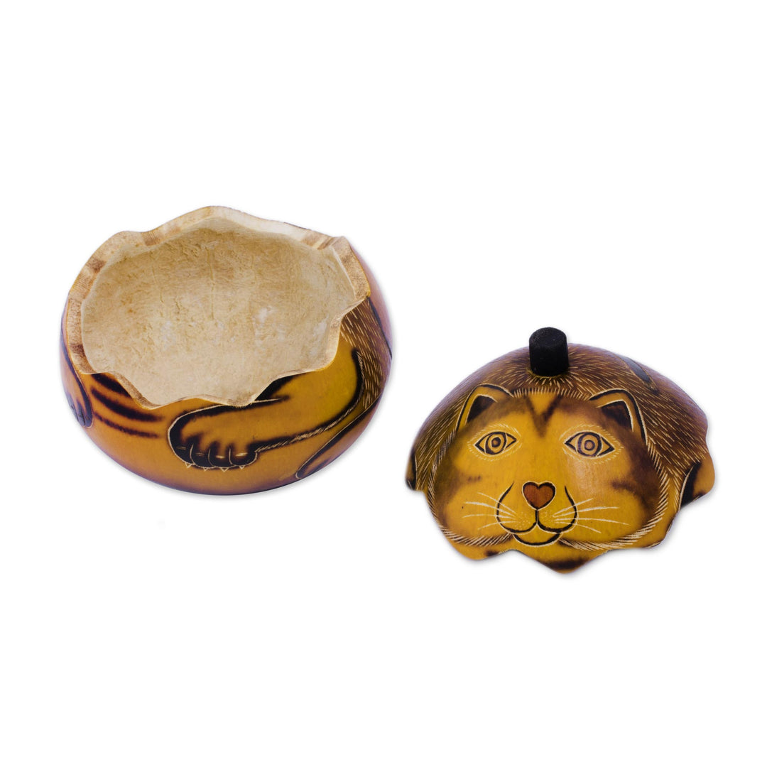 Andean Artisan Crafted Dried Mate Gourd Cat Box - Andean Feline