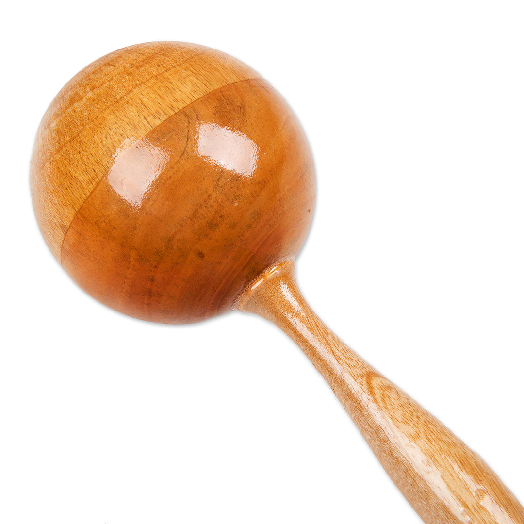 Handmade Handheld Percussion Instrument Shaker - Sunny Tune