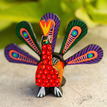 Colorful Peacock