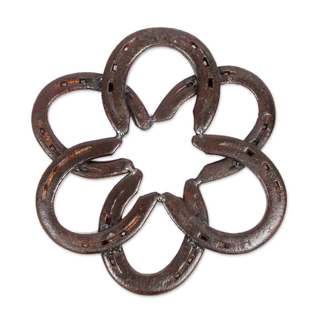Handcrafted Iron Horseshoe Wall Sculpture from Mexico - Horseshoe Mandala