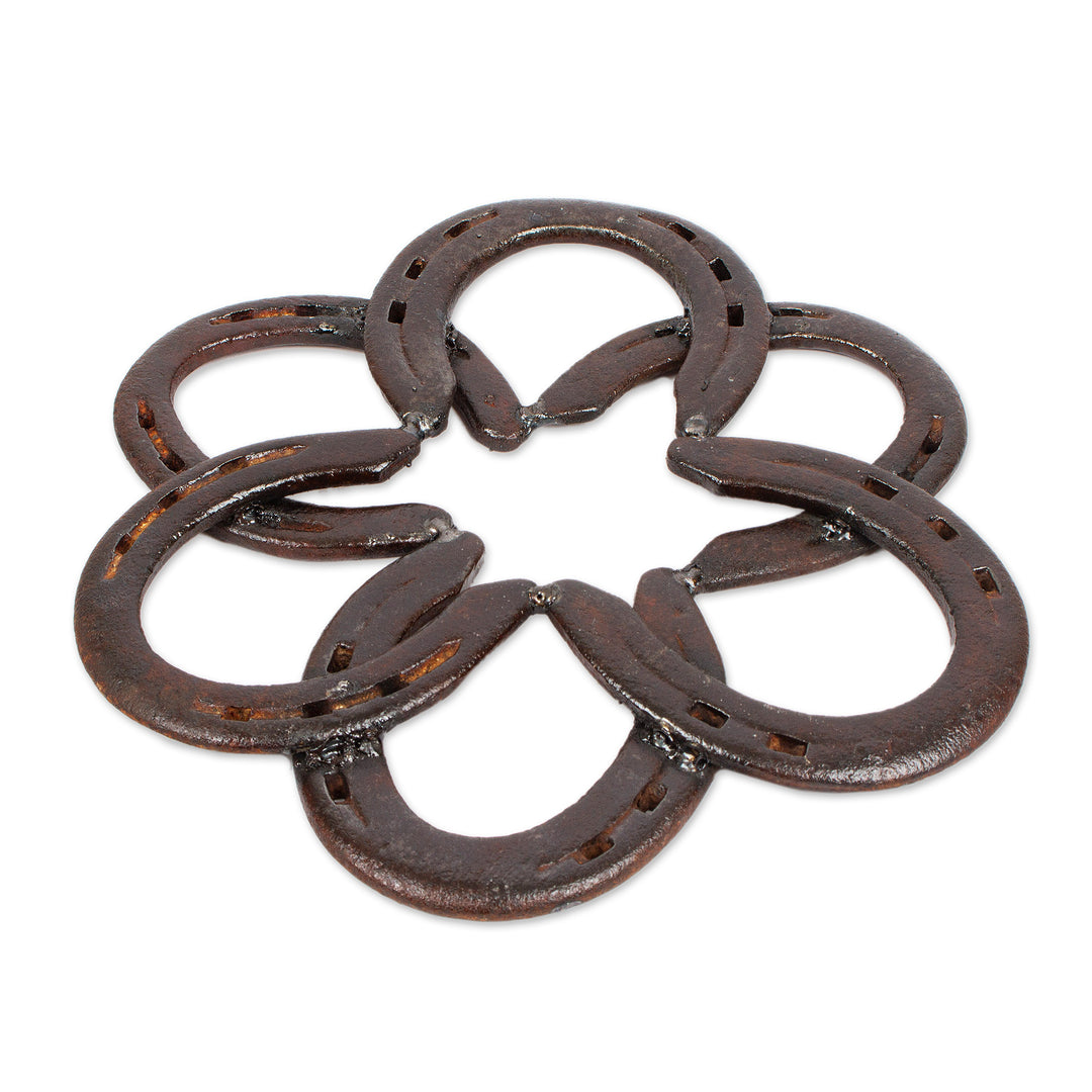 Handcrafted Iron Horseshoe Wall Sculpture from Mexico - Horseshoe Mandala