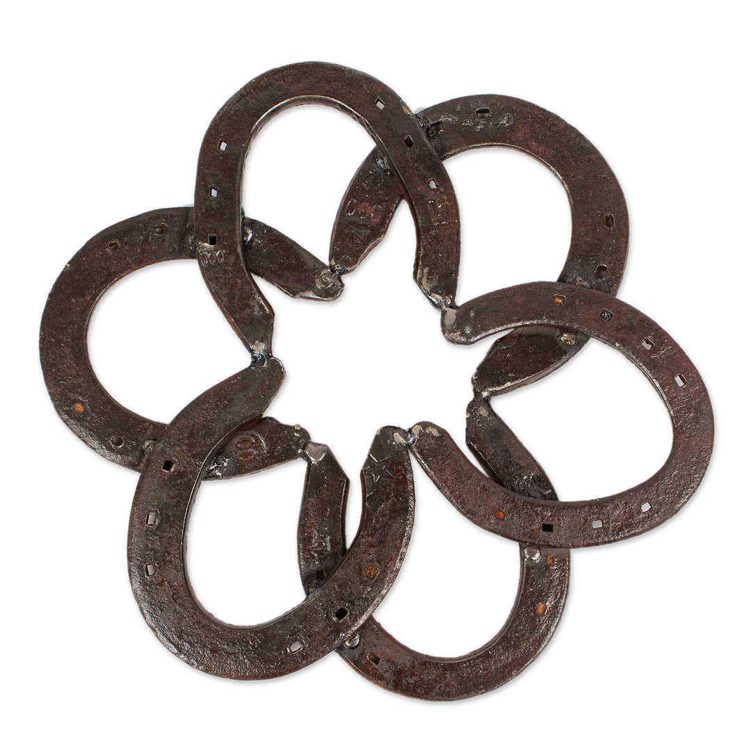 Handcrafted Iron Horseshoe Wall Sculpture from Mexico - Horseshoe Mandala