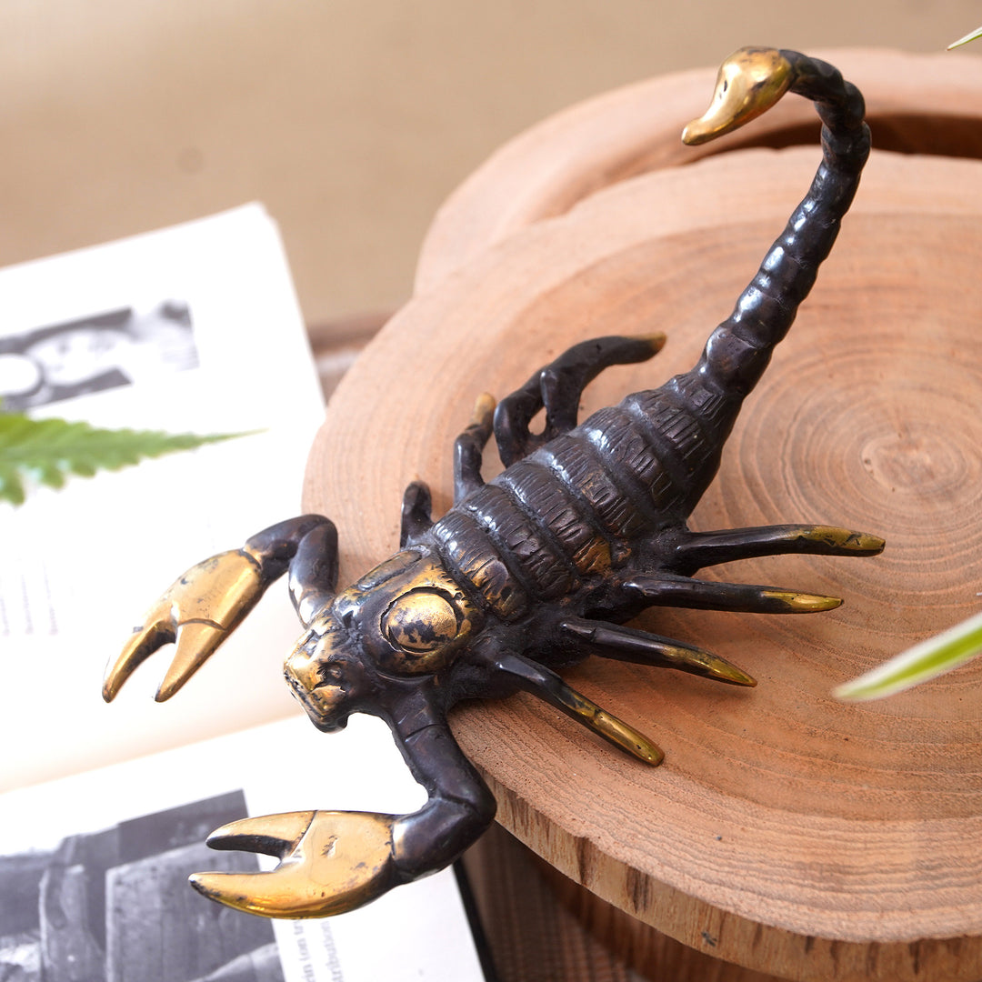 Scorpions Bite