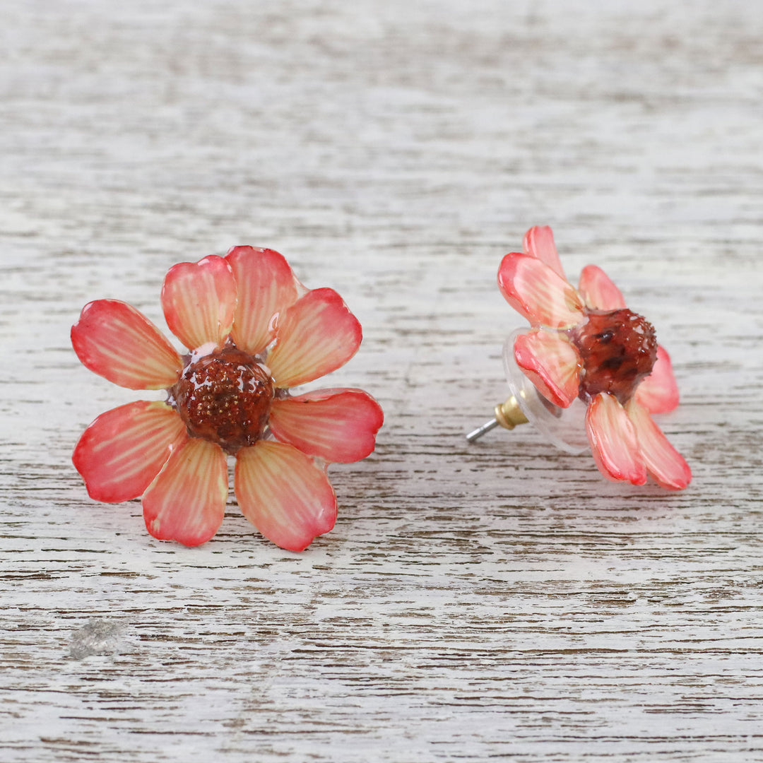 Resin Coated Natural Zinnia Button Earrings from Thailand - Red Summertime Zinnia