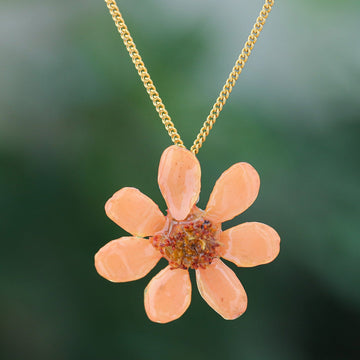 Zinnia Charm in Peach