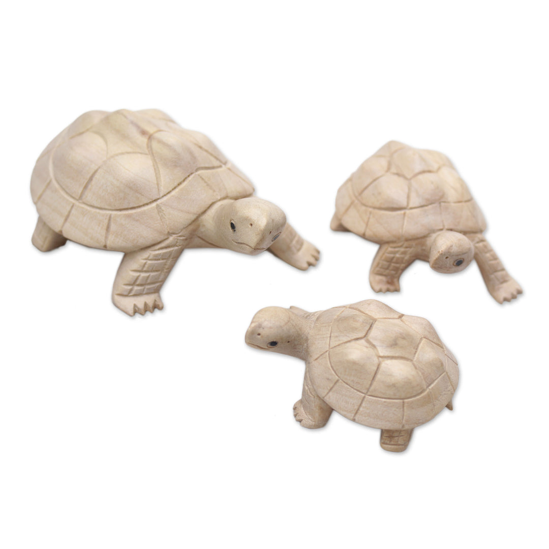 Three Hand Carved Terrapin Turtle Wood Statuettes from Bali - Terrapin Trio