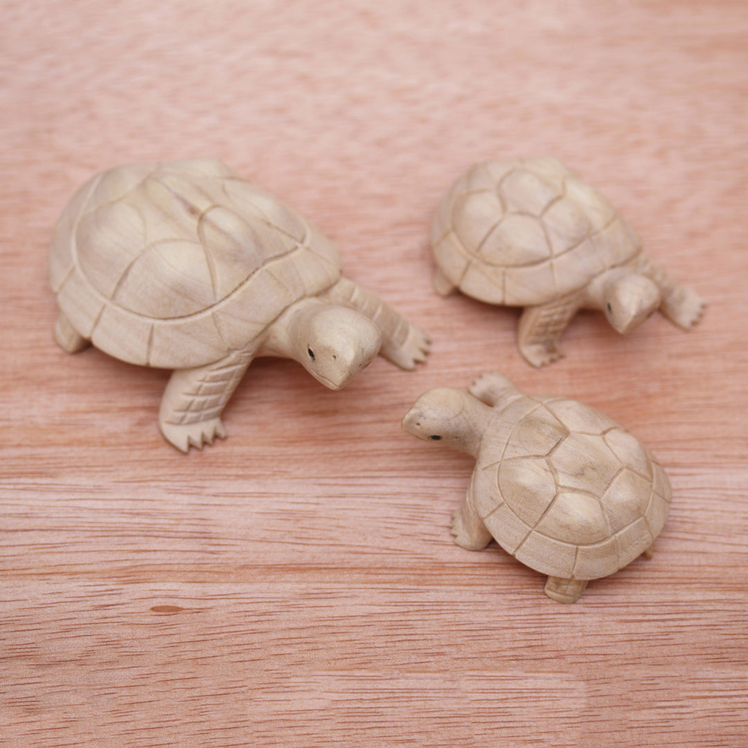 Three Hand Carved Terrapin Turtle Wood Statuettes from Bali - Terrapin Trio