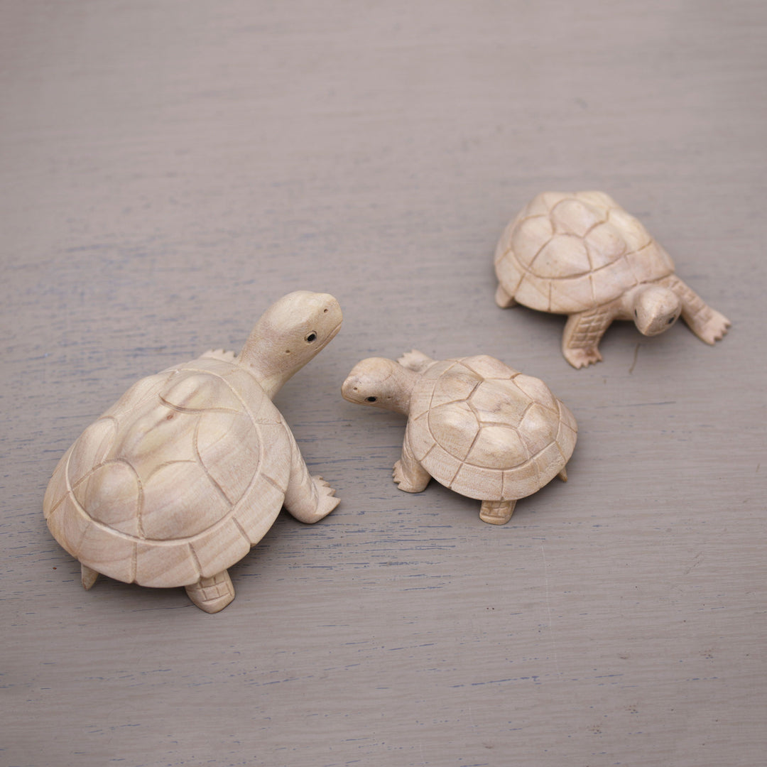 Three Hand Carved Terrapin Turtle Wood Statuettes from Bali - Terrapin Trio