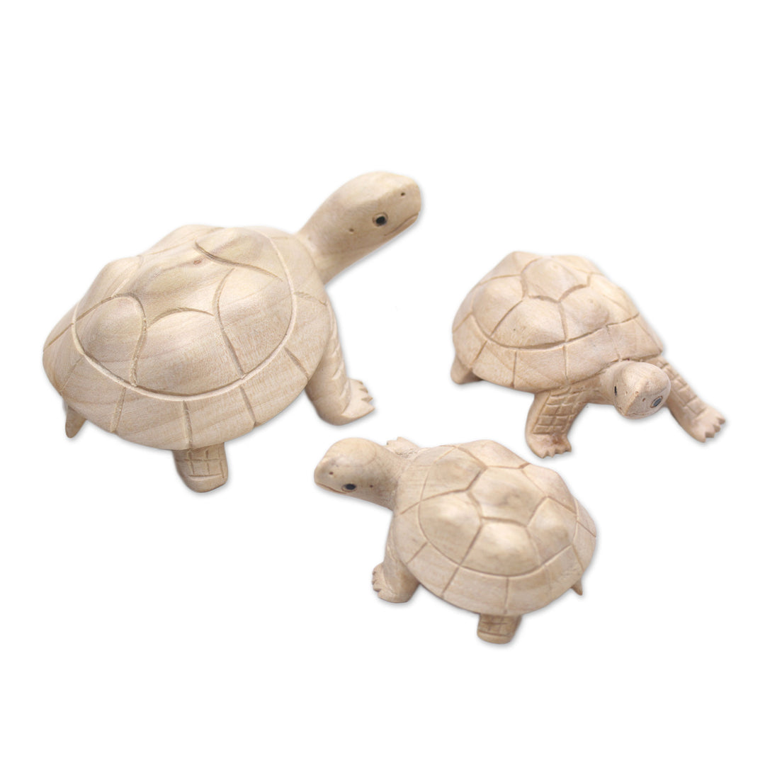 Three Hand Carved Terrapin Turtle Wood Statuettes from Bali - Terrapin Trio