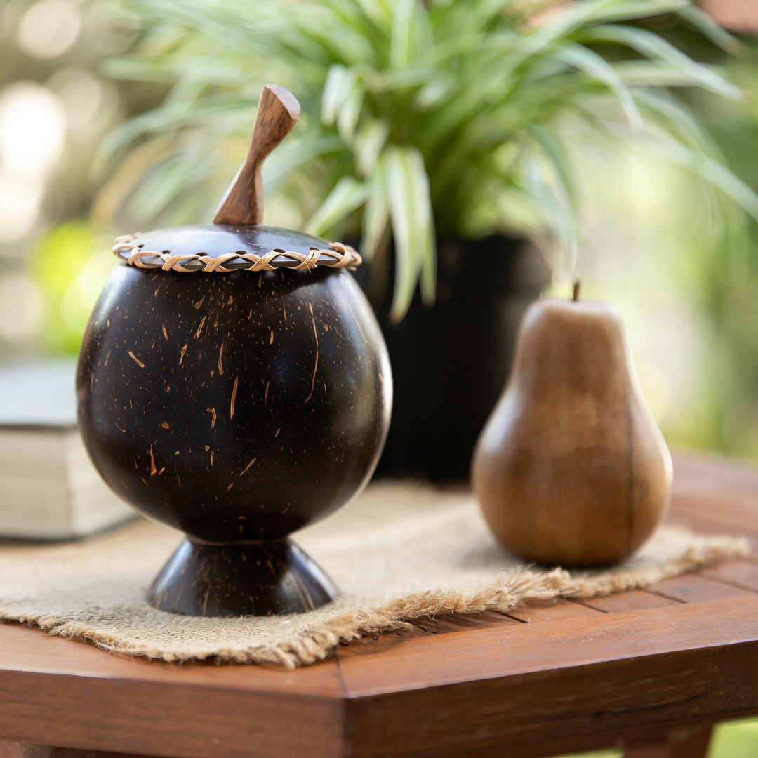 Coconut Shell Decorative Box Hand Carved in Bali - Berry Keeper