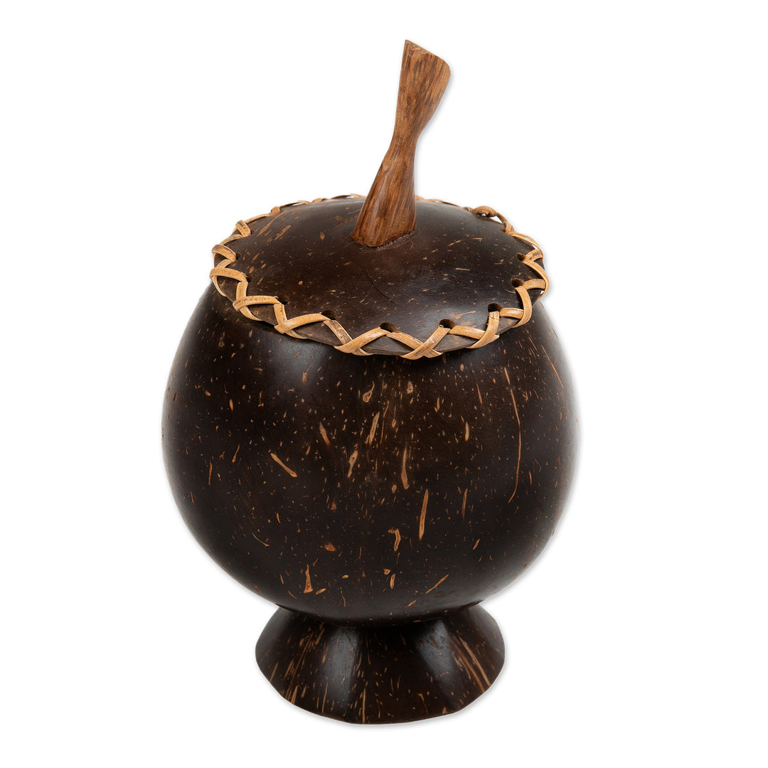 Coconut Shell Decorative Box Hand Carved in Bali - Berry Keeper