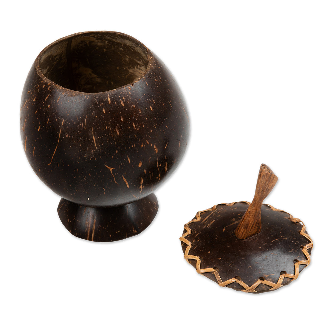 Coconut Shell Decorative Box Hand Carved in Bali - Berry Keeper