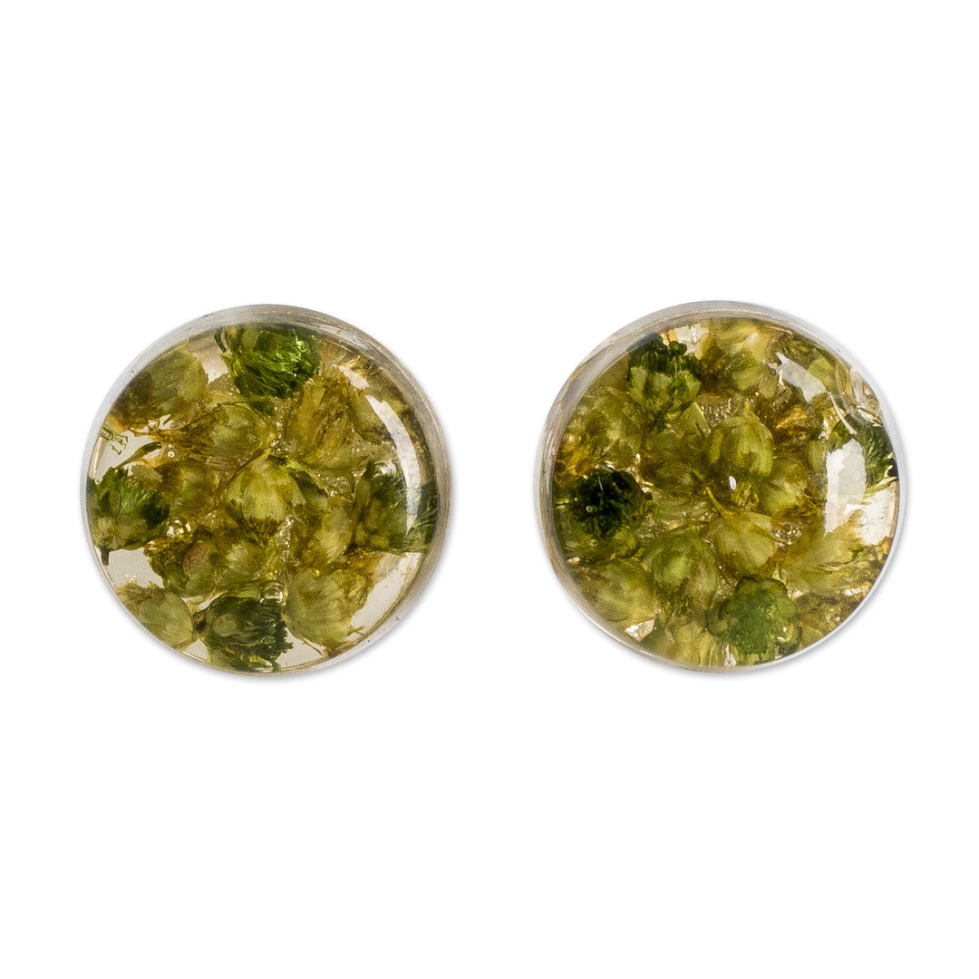Green Flower in Clear Resin Button Earrings from Costa Rica - Eternal Bouquet in Green