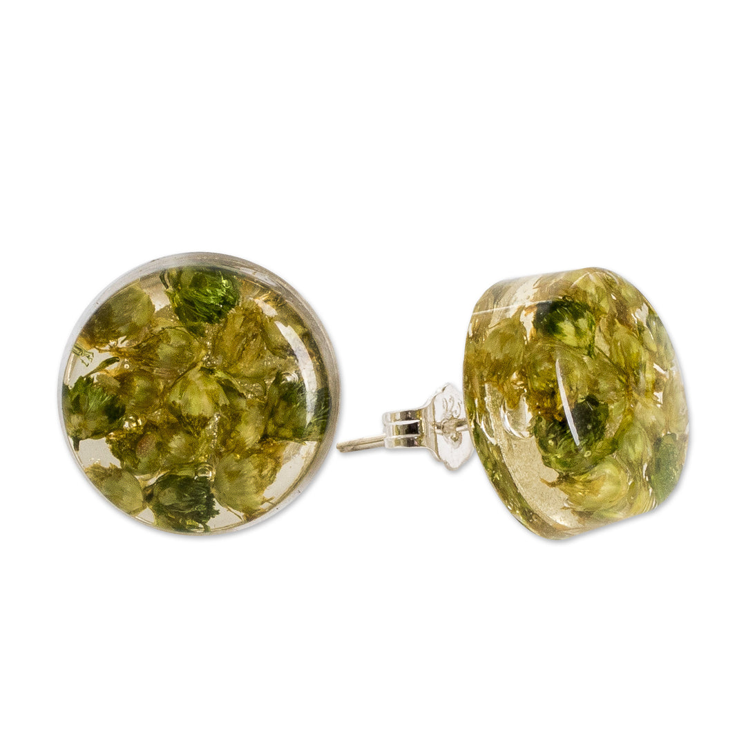 Green Flower in Clear Resin Button Earrings from Costa Rica - Eternal Bouquet in Green