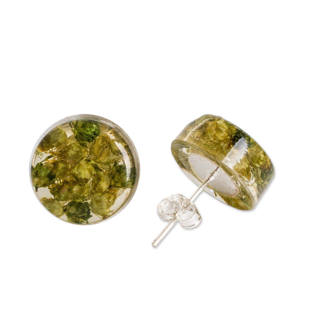Green Flower in Clear Resin Button Earrings from Costa Rica - Eternal Bouquet in Green