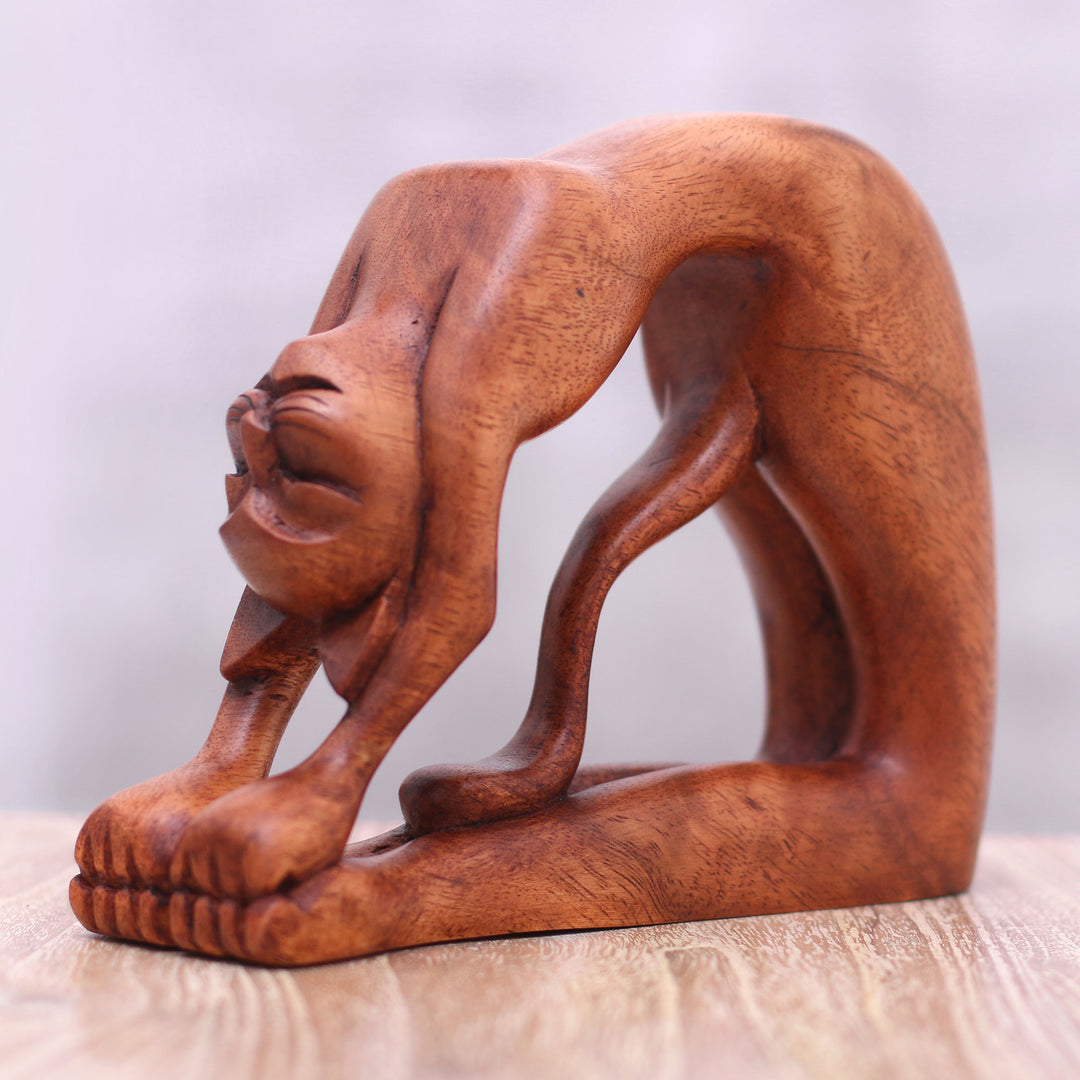 Ustrasana Kitty
