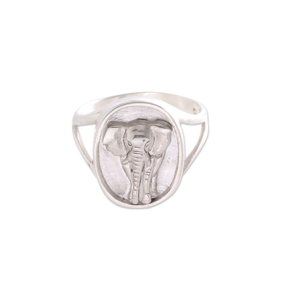 Elephant Traipse