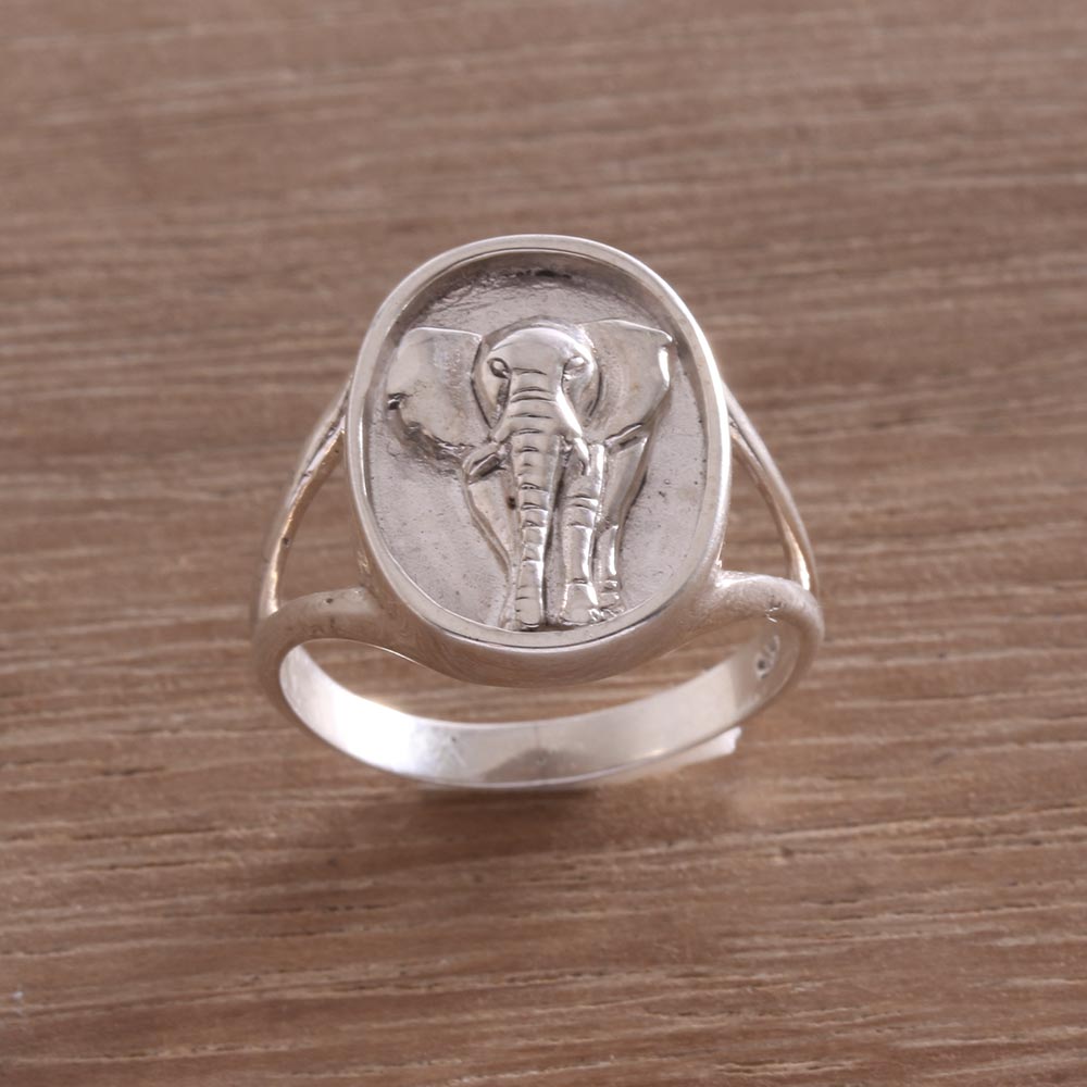 Elephant Traipse