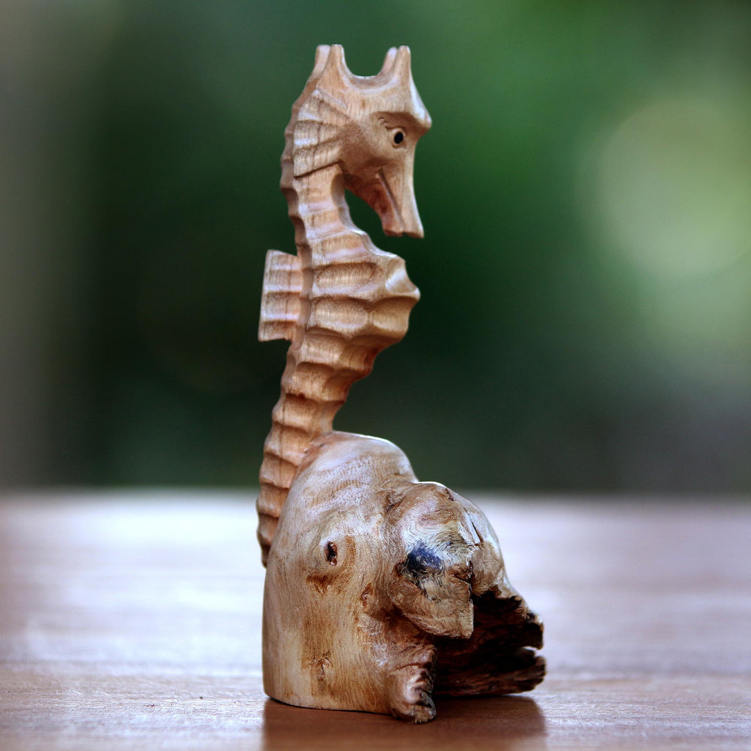 Seahorse