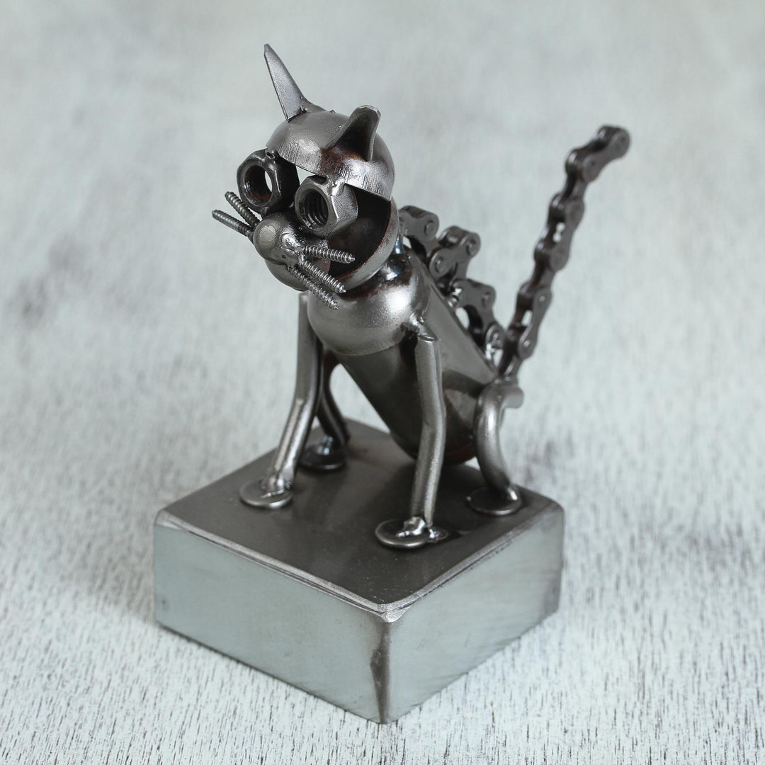 Sitting Cat