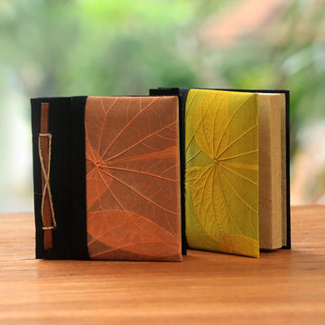 Orange and Yellow KupuKupu