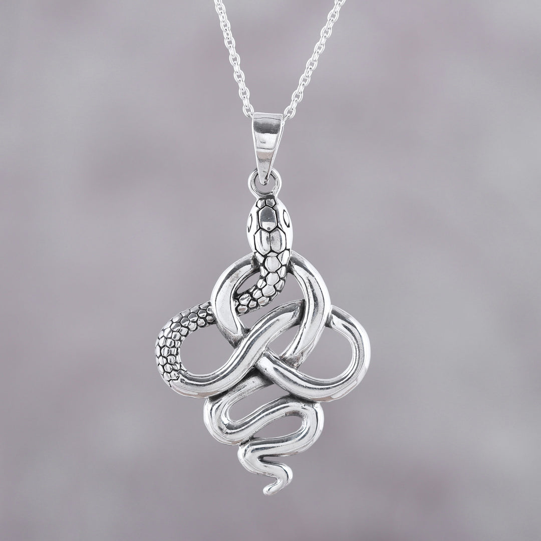 Sensational Serpent